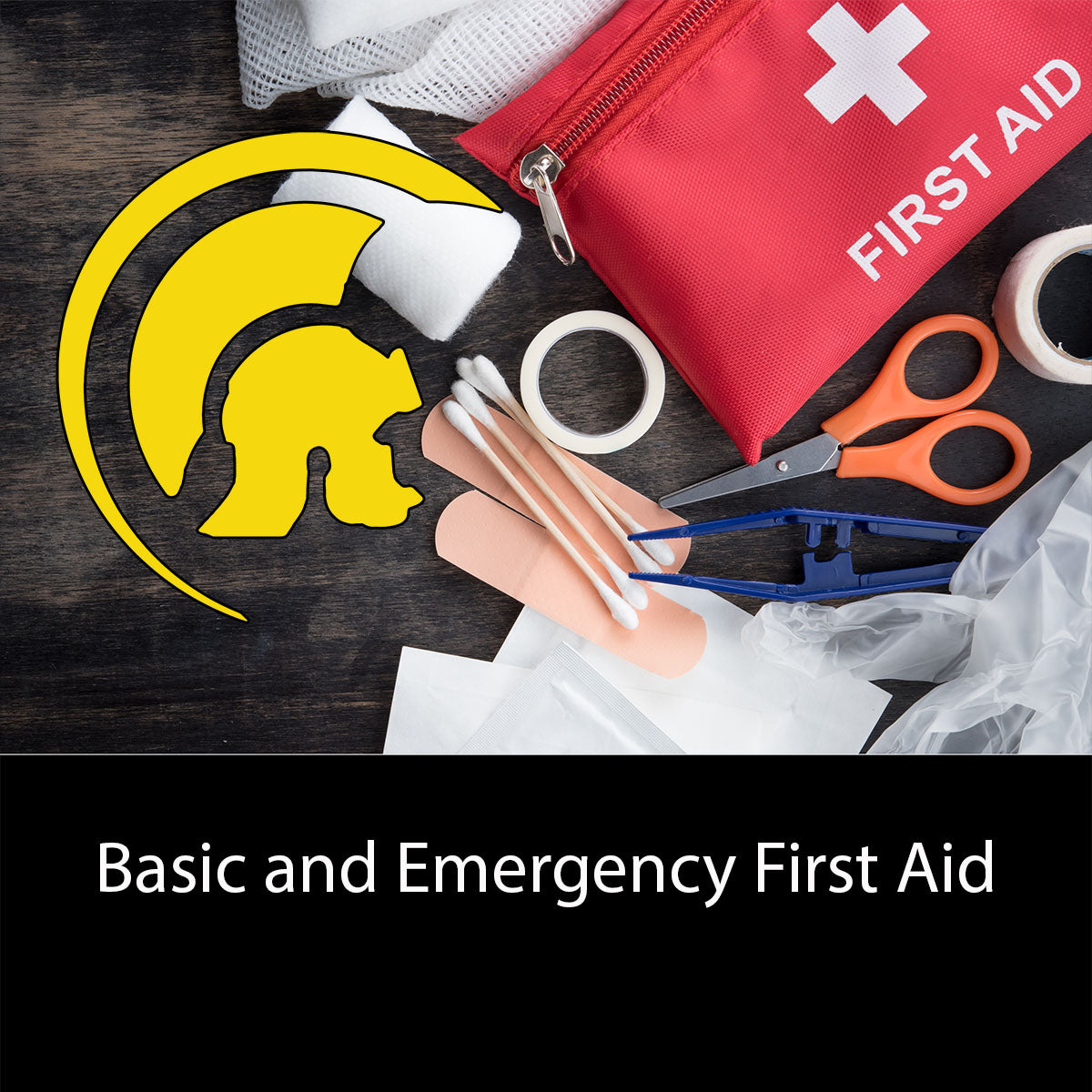 Basic and Emergency First Aid- (2 hrs)